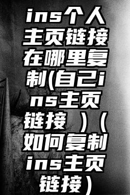 ins个人主页链接在哪里复制(自己ins主页链接 )（如何复制ins主页链接）