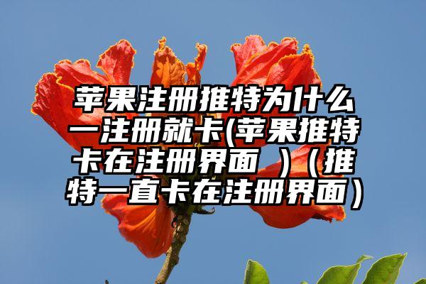 苹果注册推特为什么一注册就卡(苹果推特卡在注册界面 )（推特一直卡在注册界面）