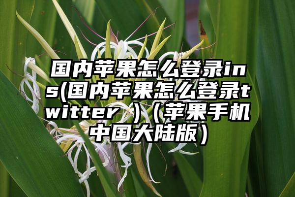 国内苹果怎么登录ins(国内苹果怎么登录twitter )（苹果手机中国大陆版）