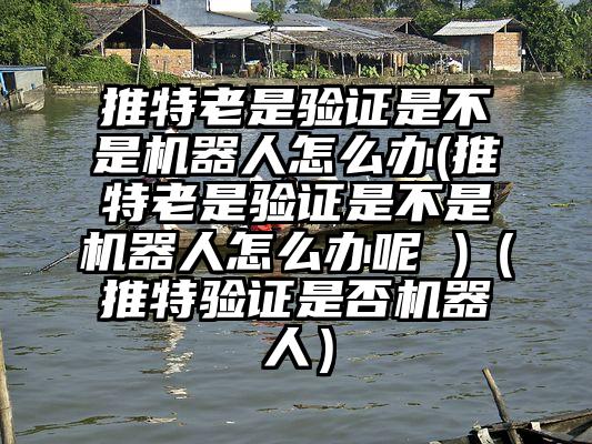 推特老是验证是不是机器人怎么办(推特老是验证是不是机器人怎么办呢 )（推特验证是否机器人）