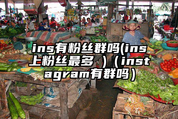ins有粉丝群吗(ins上粉丝最多 )（instagram有群吗）