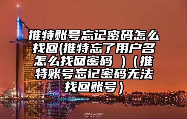 推特账号忘记密码怎么找回(推特忘了用户名怎么找回密码 )（推特账号忘记密码无法找回账号）