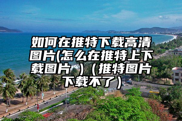 如何在推特下载高清图片(怎么在推特上下载图片 )（推特图片下载不了）