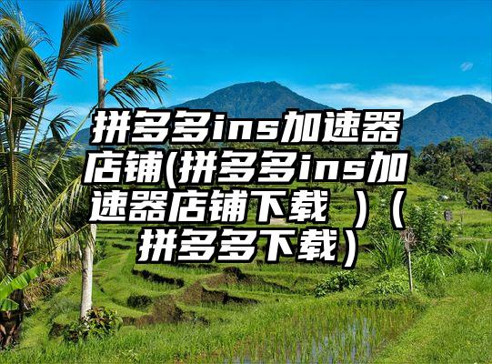 拼多多ins加速器店铺(拼多多ins加速器店铺下载 )（拼多多下载）