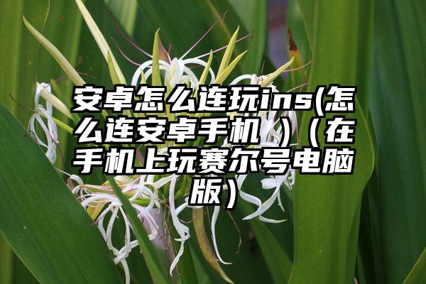 安卓怎么连玩ins(怎么连安卓手机 )（在手机上玩赛尔号电脑版）