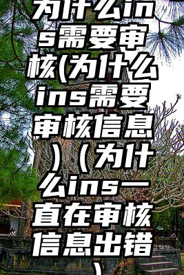 为什么ins需要审核(为什么ins需要审核信息 )（为什么ins一直在审核信息出错）