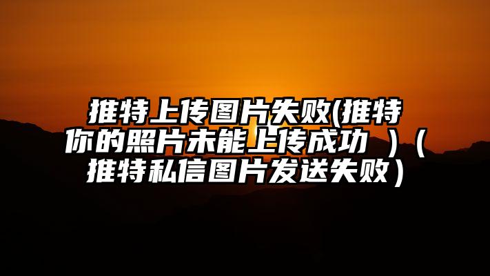 推特上传图片失败(推特你的照片未能上传成功 )（推特私信图片发送失败）
