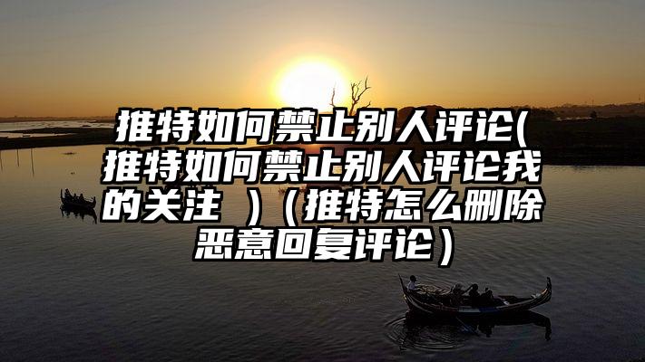 推特如何禁止别人评论(推特如何禁止别人评论我的关注 )（推特怎么删除恶意回复评论）