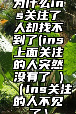 为什么ins关注了人却找不到了(ins上面关注的人突然没有了 )（ins关注的人不见了）