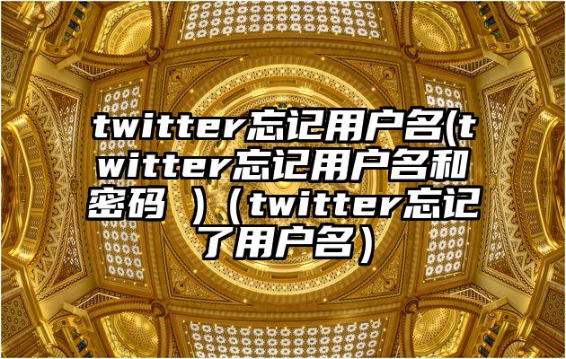 twitter忘记用户名(twitter忘记用户名和密码 )（twitter忘记了用户名）