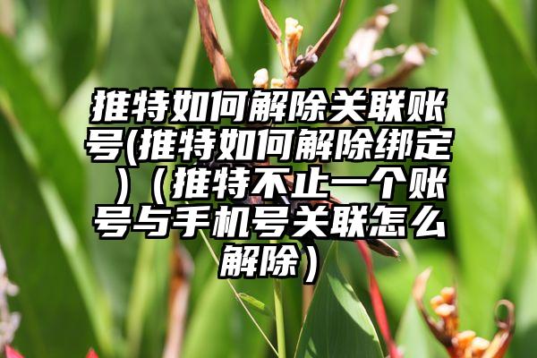 推特如何解除关联账号(推特如何解除绑定 )（推特不止一个账号与手机号关联怎么解除）