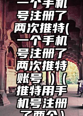 一个手机号注册了两次推特(一个手机号注册了两次推特账号 )（推特用手机号注册了两个）