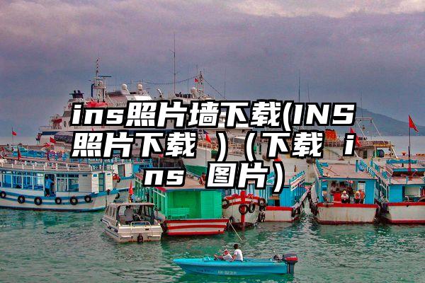 ins照片墙下载(INS照片下载 )（下载 ins 图片）