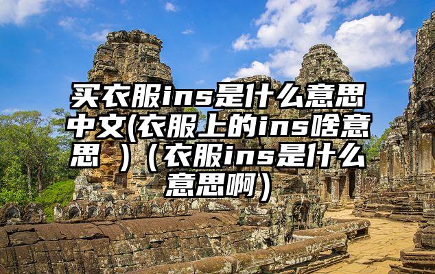 买衣服ins是什么意思中文(衣服上的ins啥意思 )（衣服ins是什么意思啊）