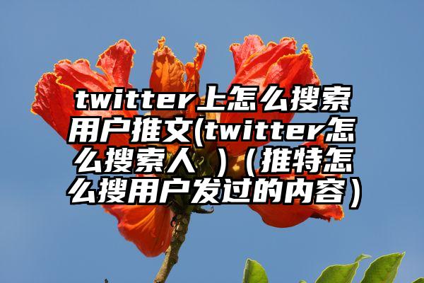 twitter上怎么搜索用户推文(twitter怎么搜索人 )（推特怎么搜用户发过的内容）