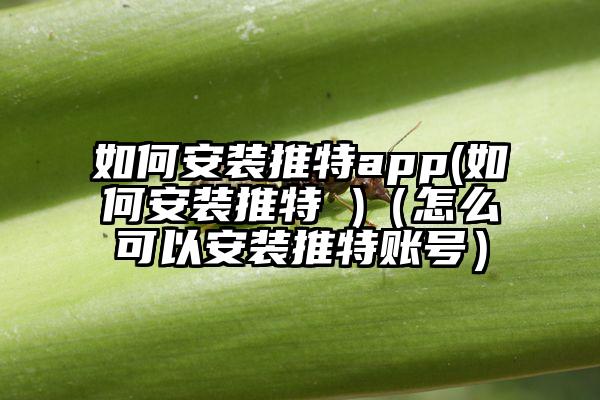 如何安装推特app(如何安装推特 )（怎么可以安装推特账号）
