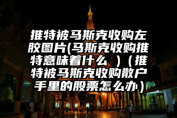 推特被马斯克收购左胶图片(马斯克收购推特意味着什么 )（推特被马斯克收购散户手里的股票怎么办）