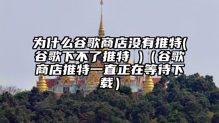 为什么谷歌商店没有推特(谷歌下不了推特 )(谷歌商店推特一直正在等待下载)