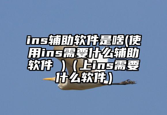 ins辅助软件是啥(使用ins需要什么辅助软件 )（上ins需要什么软件）