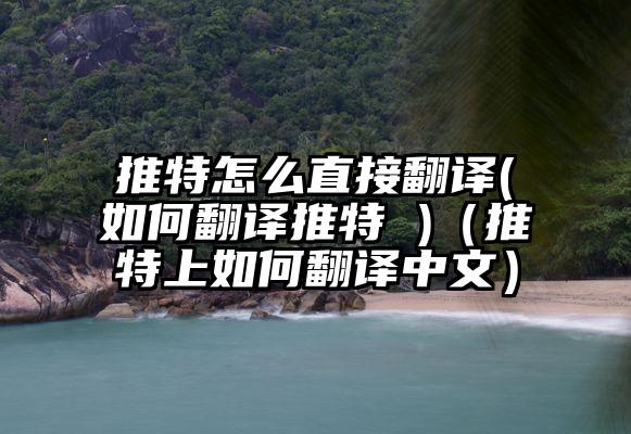 推特怎么直接翻译(如何翻译推特 )（推特上如何翻译中文）
