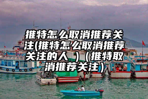 推特怎么取消推荐关注(推特怎么取消推荐关注的人 )（推特取消推荐关注）