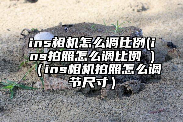 ins相机怎么调比例(ins拍照怎么调比例 )（ins相机拍照怎么调节尺寸）