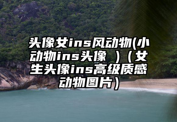 头像女ins风动物(小动物ins头像 )（女生头像ins高级质感动物图片）