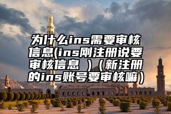 为什么ins需要审核信息(ins刚注册说要审核信息 )（新注册的ins账号要审核嘛）