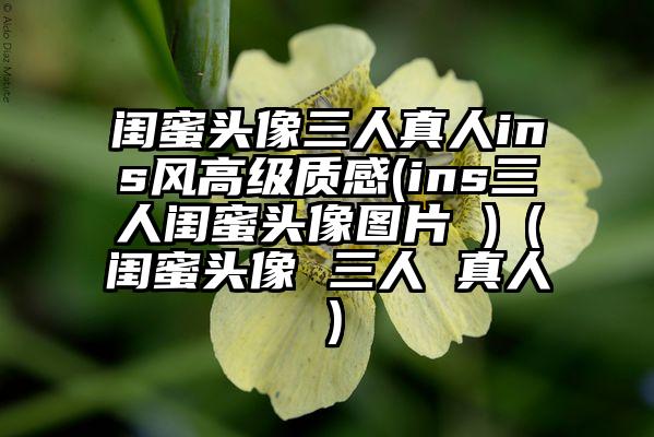 闺蜜头像三人真人ins风高级质感(ins三人闺蜜头像图片 )(闺蜜头像 三人 真人)