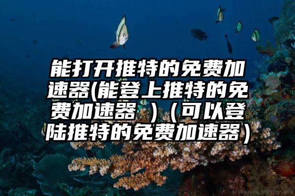 能打开推特的免费加速器(能登上推特的免费加速器 )（可以登陆推特的免费加速器）