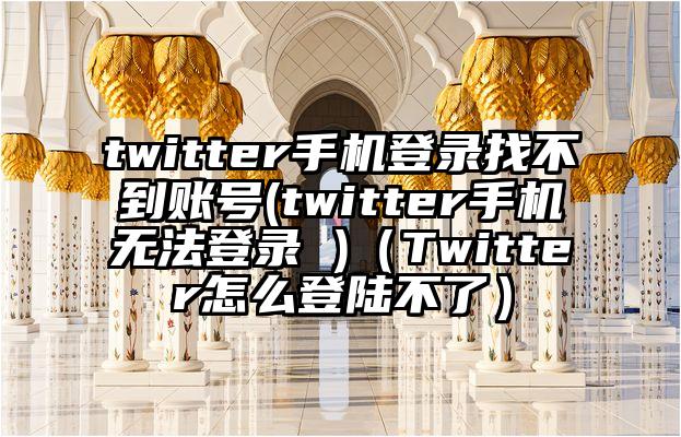 twitter手机登录找不到账号(twitter手机无法登录 )（Twitter怎么登陆不了）