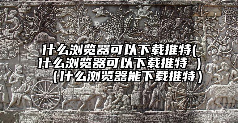 什么浏览器可以下载推特(什么浏览器可以下载推特 )（什么浏览器能下载推特）