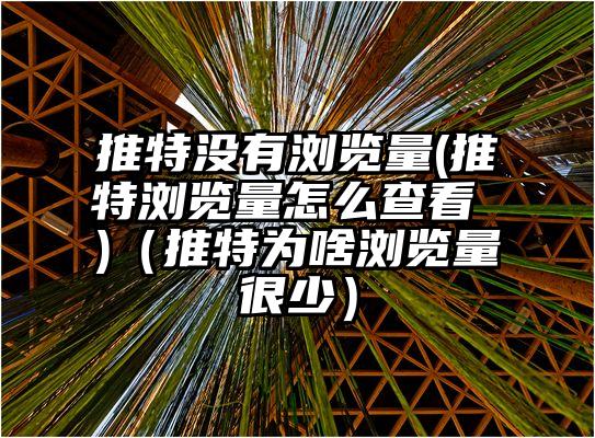推特没有浏览量(推特浏览量怎么查看 )（推特为啥浏览量很少）