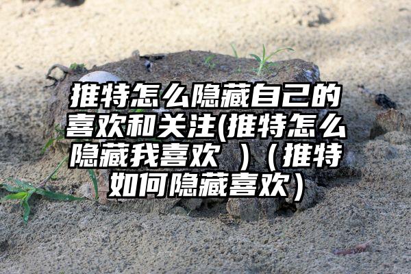 推特怎么隐藏自己的喜欢和关注(推特怎么隐藏我喜欢 )（推特如何隐藏喜欢）