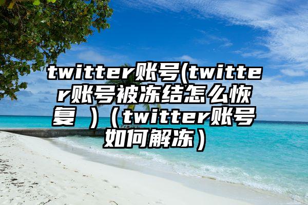 twitter账号(twitter账号被冻结怎么恢复 )(twitter账号如何解冻)