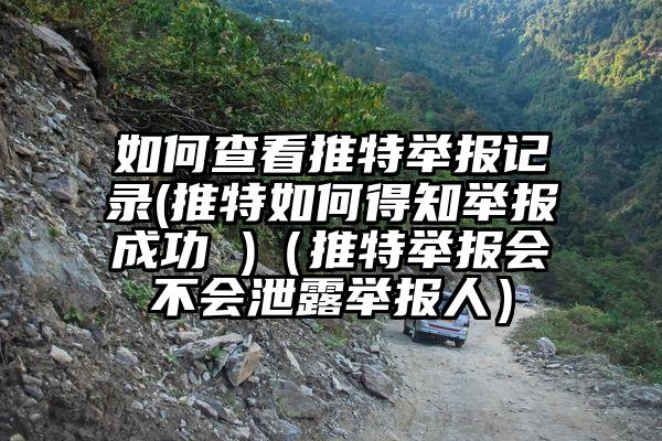 如何查看推特举报记录(推特如何得知举报成功 )（推特举报会不会泄露举报人）