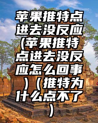 苹果推特点进去没反应(苹果推特点进去没反应怎么回事 )（推特为什么点不了）