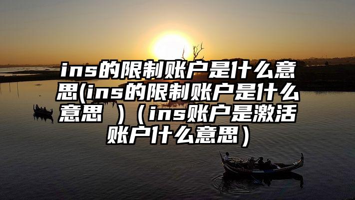 ins的限制账户是什么意思(ins的限制账户是什么意思 )（ins账户是激活账户什么意思）