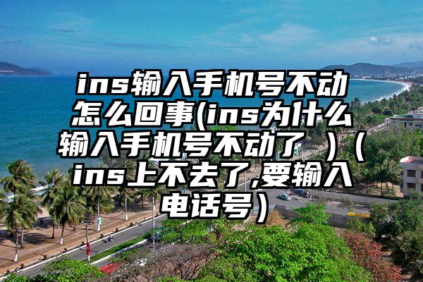 ins输入手机号不动怎么回事(ins为什么输入手机号不动了 )(ins上不去了,要输入电话号)