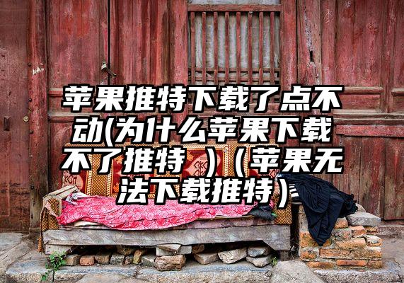 苹果推特下载了点不动(为什么苹果下载不了推特 )（苹果无法下载推特）