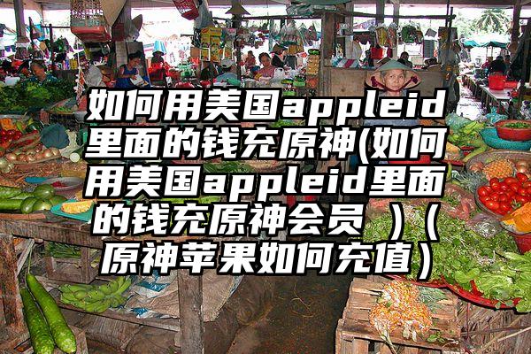 如何用美国appleid里面的钱充原神(如何用美国appleid里面的钱充原神会员 )（原神苹果如何充值）