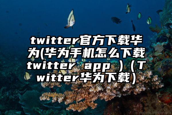 twitter官方下载华为(华为手机怎么下载twitter app )（Twitter华为下载）