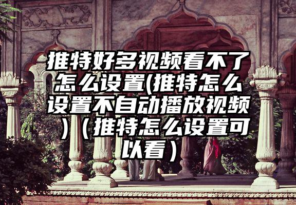 推特好多视频看不了怎么设置(推特怎么设置不自动播放视频 )（推特怎么设置可以看）