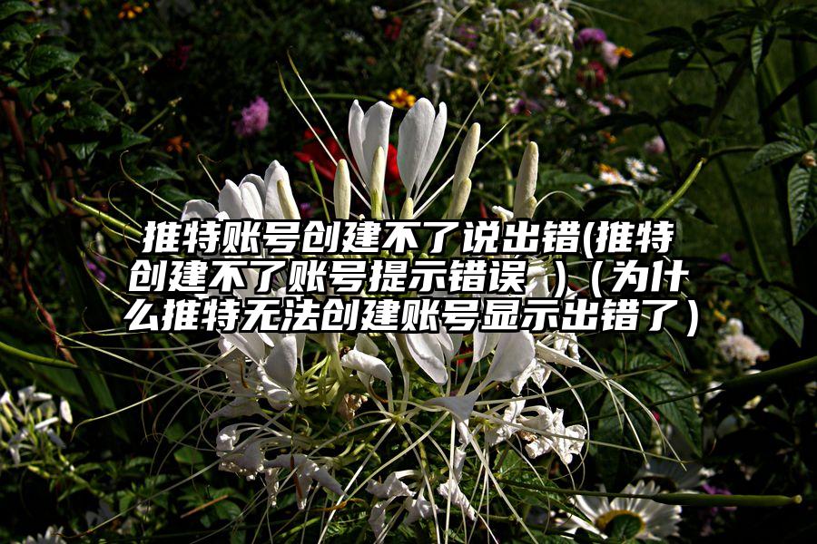 推特账号创建不了说出错(推特创建不了账号提示错误 )（为什么推特无法创建账号显示出错了）
