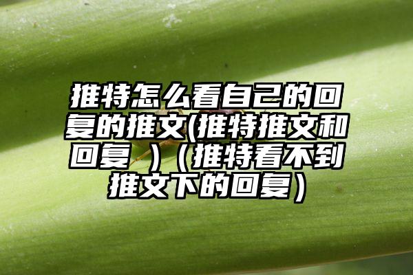 推特怎么看自己的回复的推文(推特推文和回复 )（推特看不到推文下的回复）