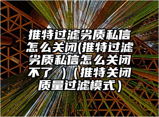 推特过滤劣质私信怎么关闭(推特过滤劣质私信怎么关闭不了 )（推特关闭质量过滤模式）