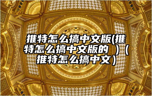 推特怎么搞中文版(推特怎么搞中文版的 )（推特怎么搞中文）