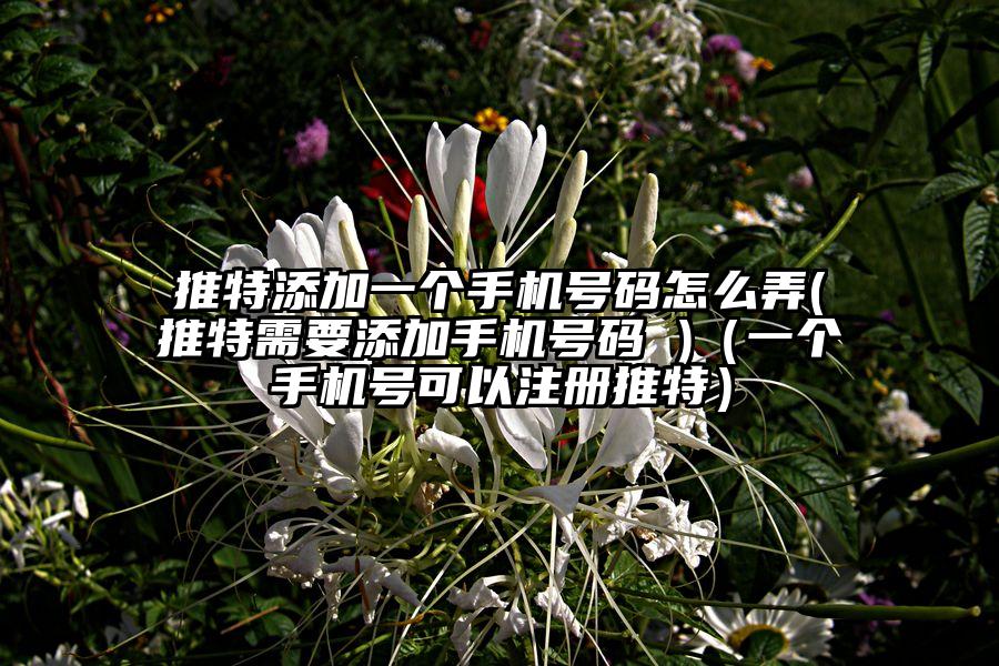 推特添加一个手机号码怎么弄(推特需要添加手机号码 )（一个手机号可以注册推特）