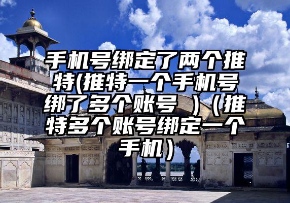 手机号绑定了两个推特(推特一个手机号绑了多个账号 )（推特多个账号绑定一个手机）