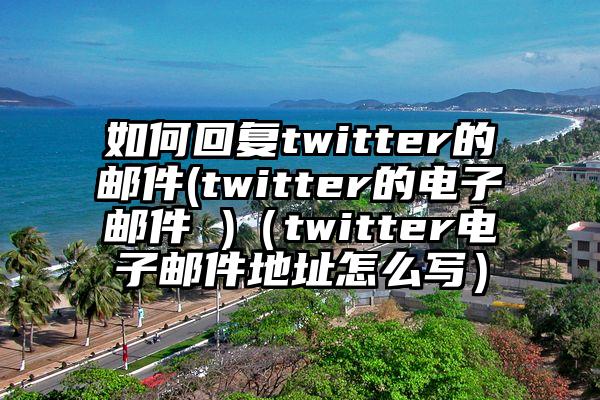 如何回复twitter的邮件(twitter的电子邮件 )（twitter电子邮件地址怎么写）